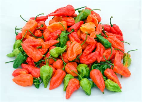 Naga jolokia pepper. Things To Know About Naga jolokia pepper. 